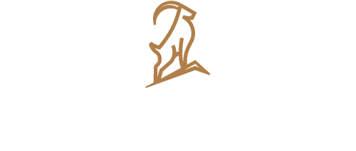MKT Solutions